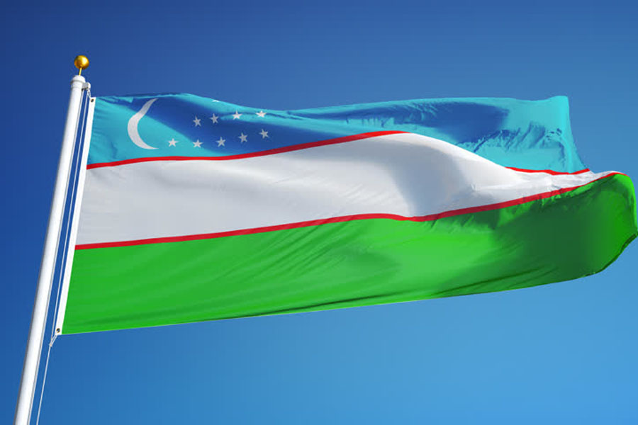 Президентские выборы в Узбекистане в фокусе внимания  ученых и экспертов