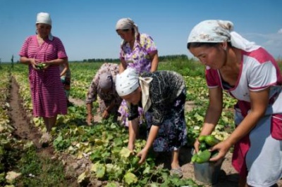 Ритм Евразии: Кыргызстанский потенциал в ЕАЭС повысит село